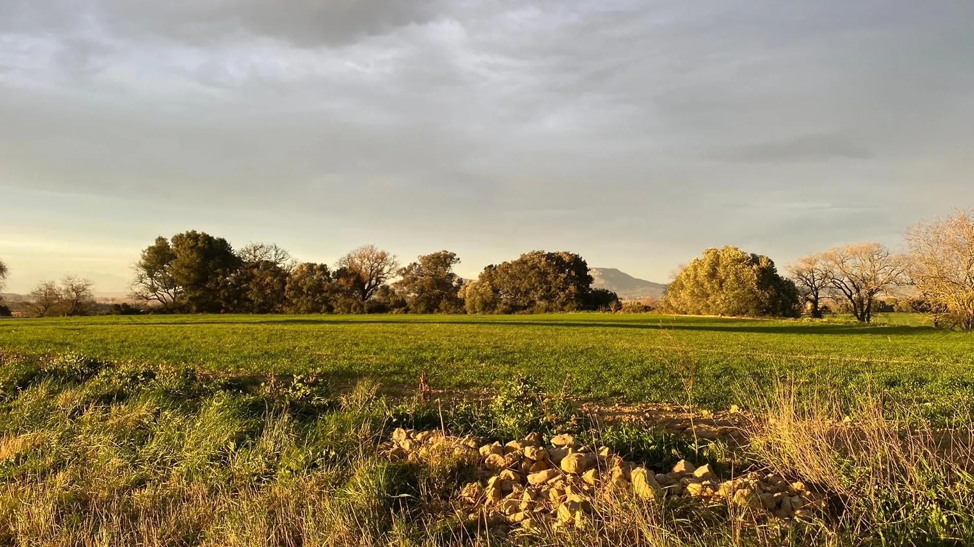 Moderno apartamento en Empordà Golf Gualta